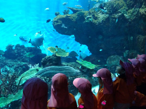 水族館